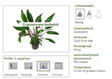 Vijverflora swolgen openingstijden