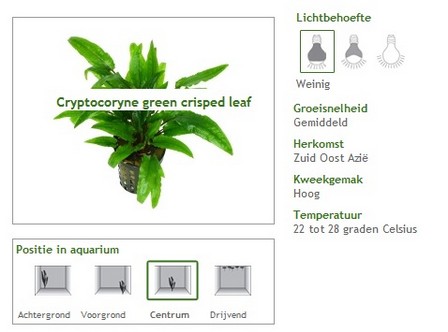 Vijverflora swolgen openingstijden